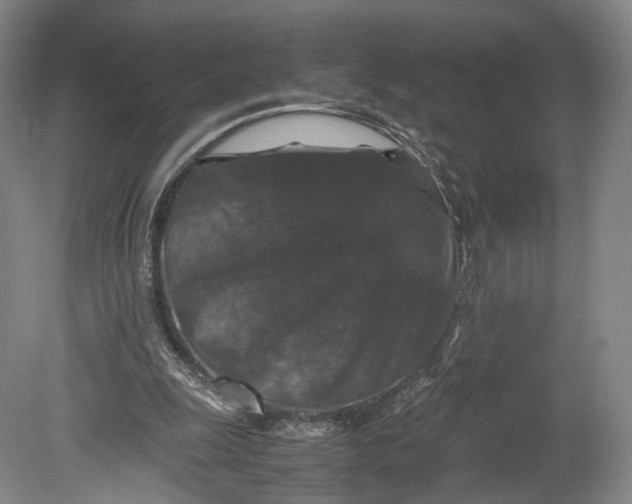 X0000080810247200701021323