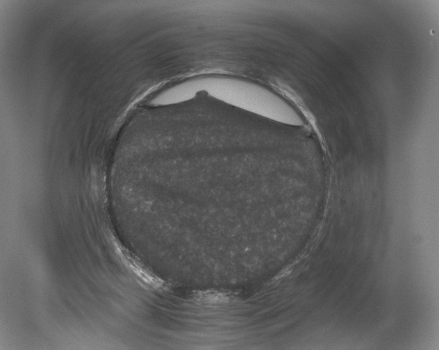 X0000080810249200701021323