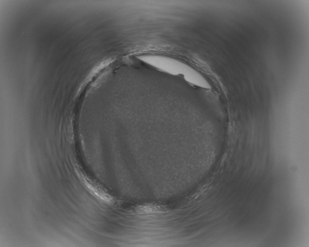 X0000080810250200701021323