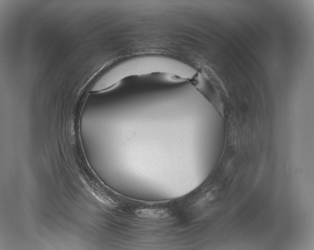 X0000080810251200701021323