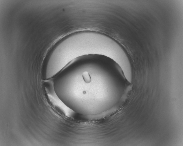 X0000080810252200701021323