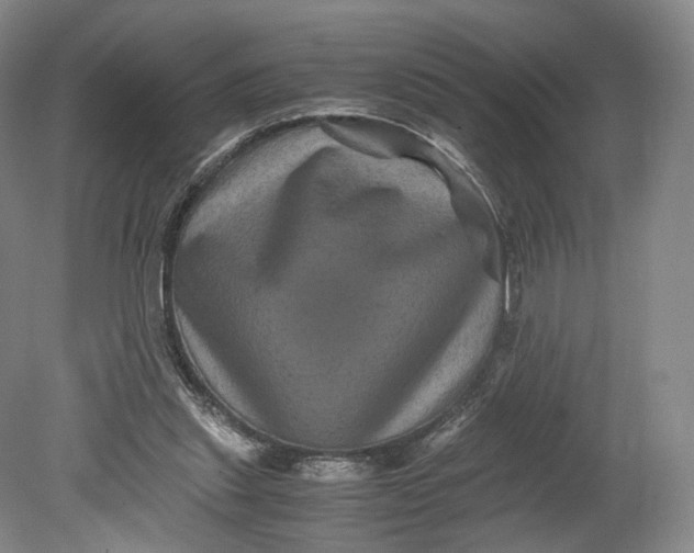 X0000080810253200701021323