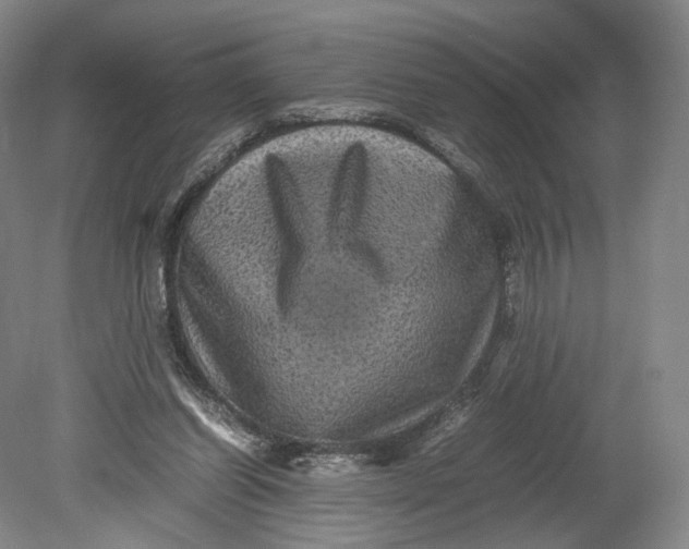 X0000080810254200701021323