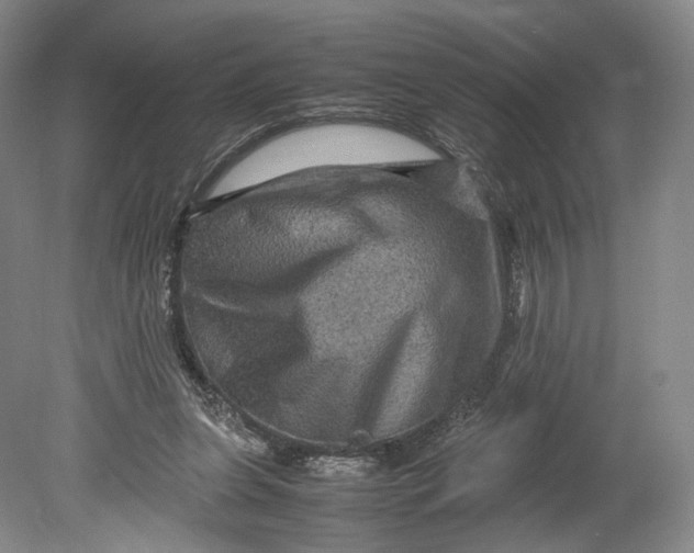 X0000080810255200701021323