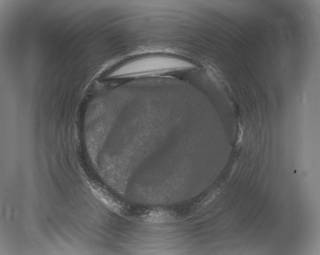 X0000080810256200701021323