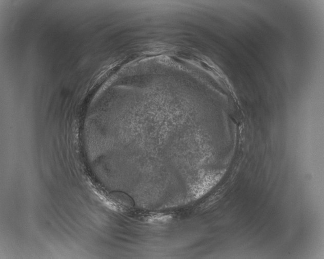 X0000080810257200701021323