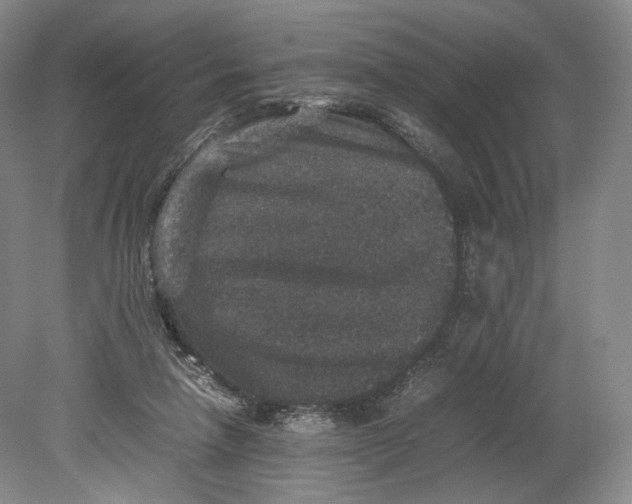 X0000080810258200701021323