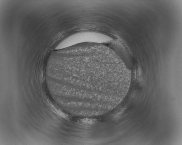 X0000080810261200701021323