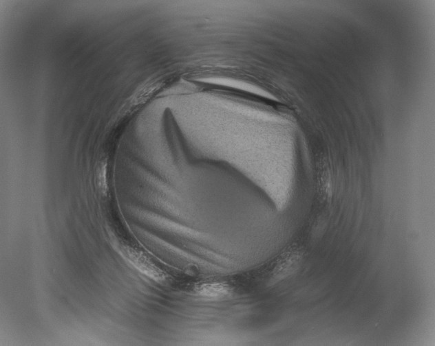 X0000080810262200701021323