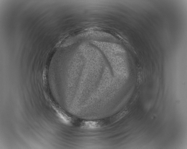 X0000080810265200701021323