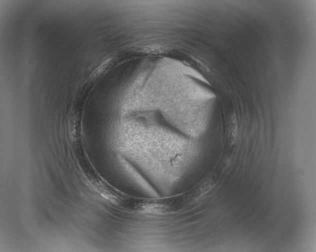 X0000080810268200701021323