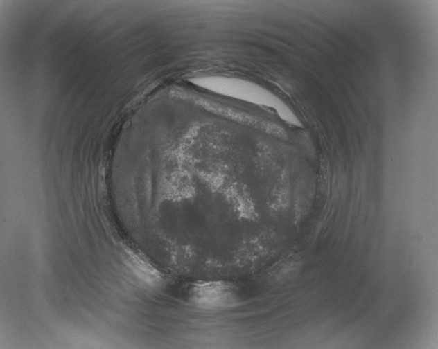 X0000080810269200701021323