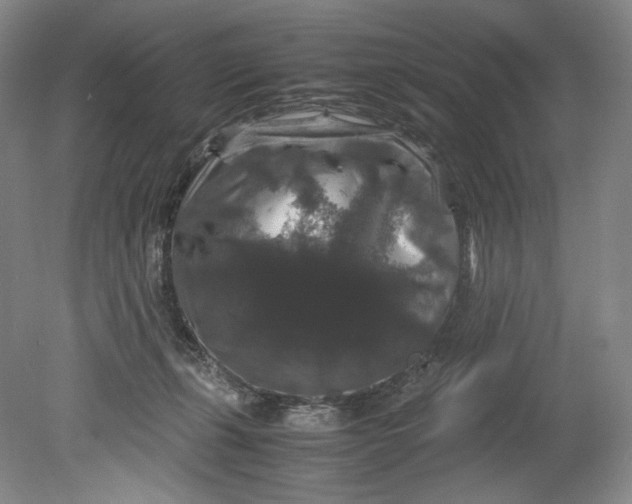 X0000080810271200701021323