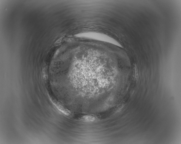 X0000080810272200701021323