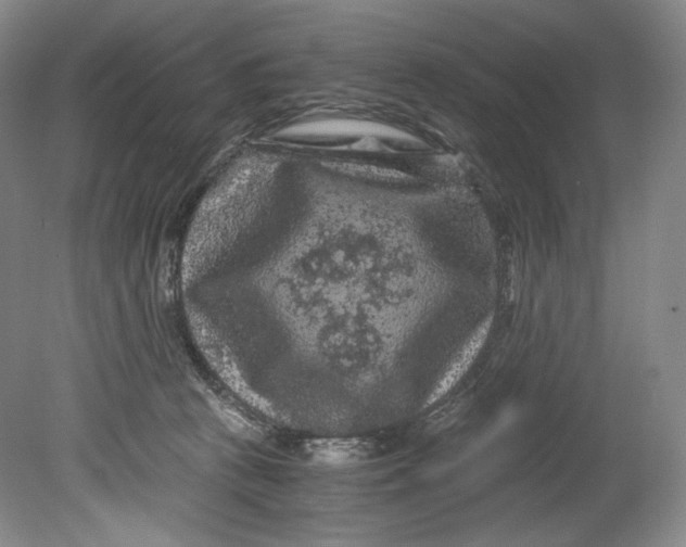 X0000080810273200701021323