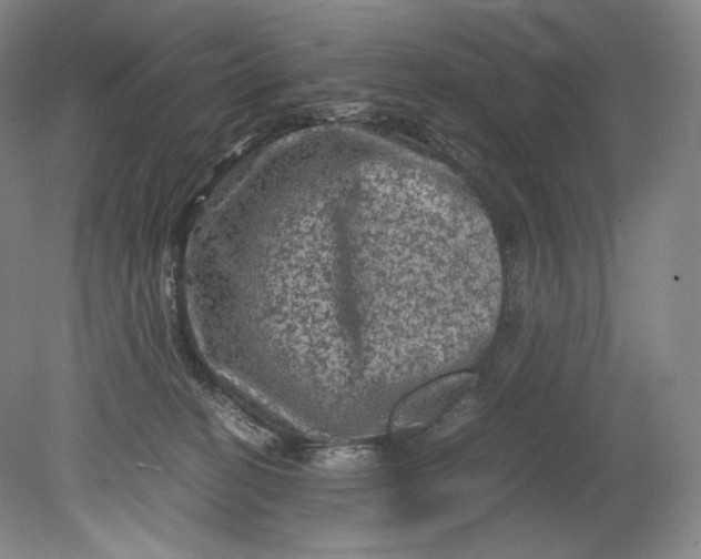 X0000080810274200701021323