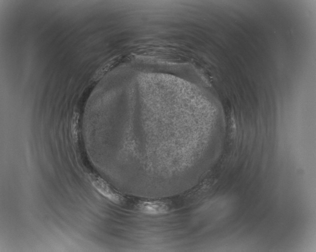 X0000080810275200701021323