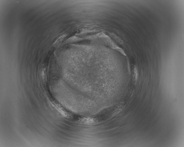 X0000080810276200701021323