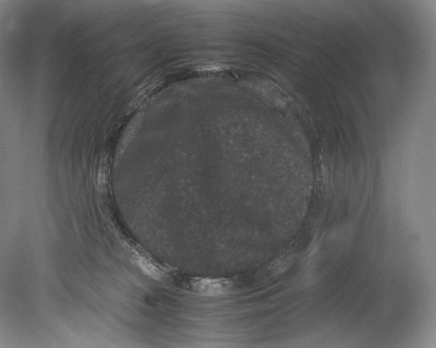 X0000080810277200701021323