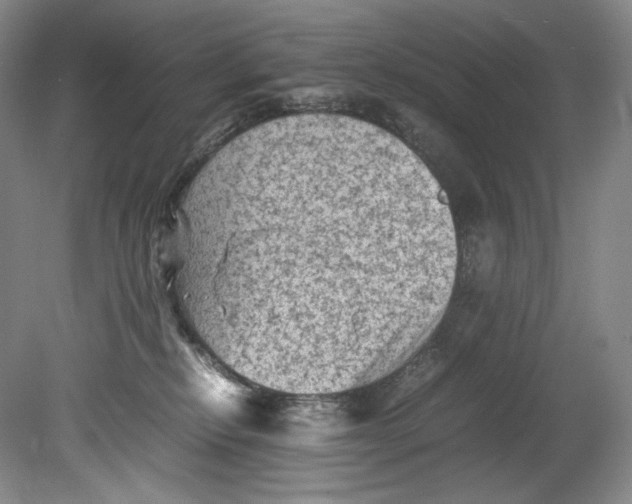 X0000080810278200701021323