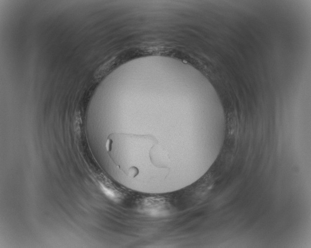 X0000080810279200701021323