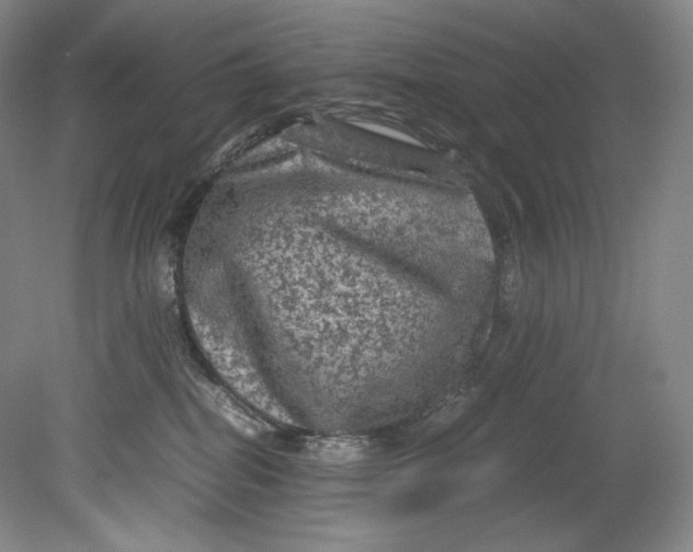 X0000080810282200701021323