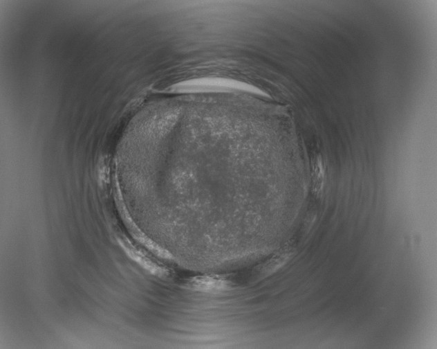 X0000080810284200701021324