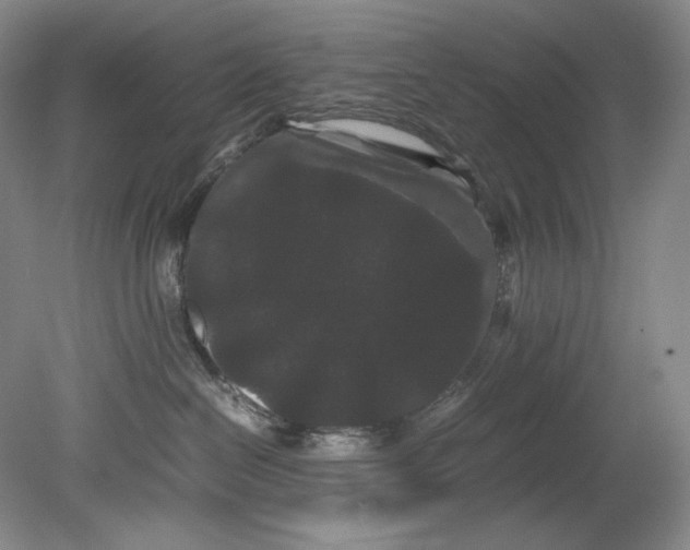 X0000080810286200701021324