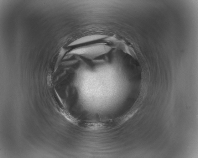 X0000080810288200701021324