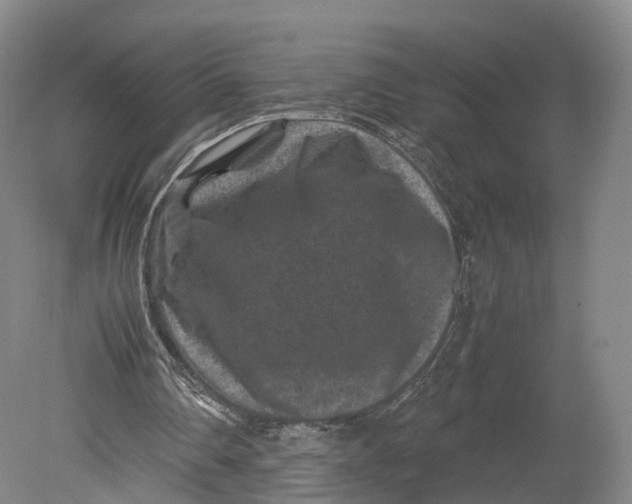 X0000080810290200701021323