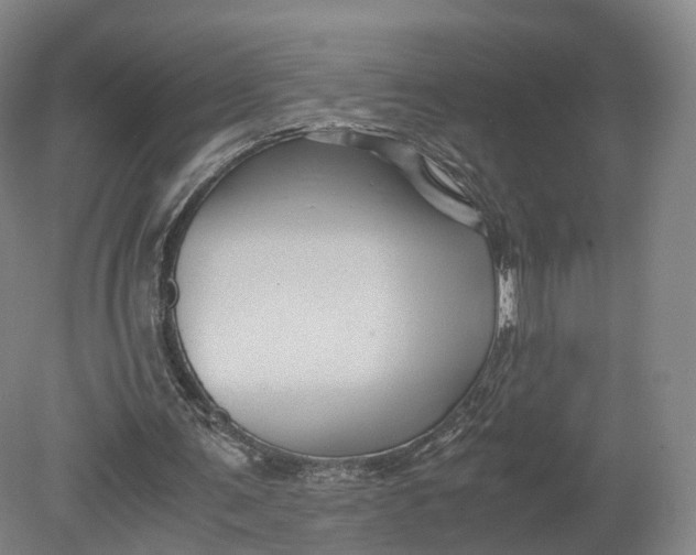 X0000080810291200701021323