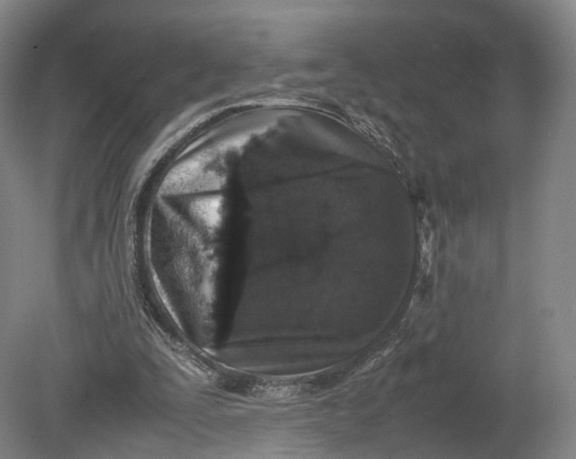 X0000080810295200701021323