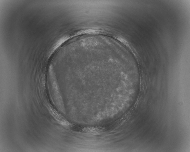 X0000080810297200701021323