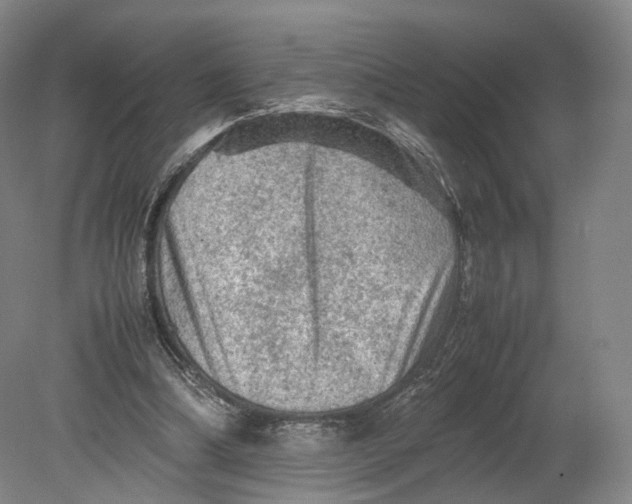 X0000080810298200701021323