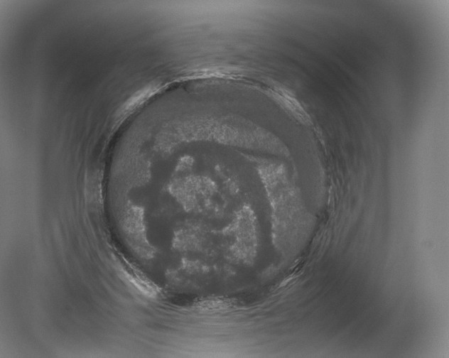 X0000080810299200701021323