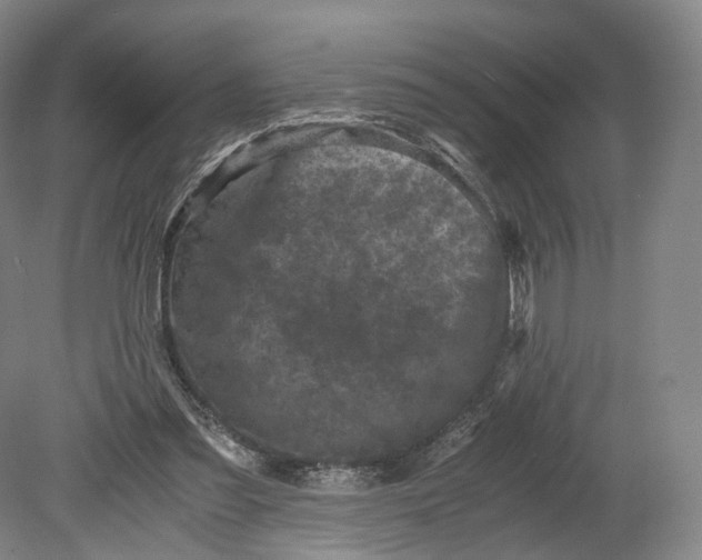 X0000080810301200701021323