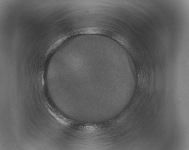 X0000080810302200701021323