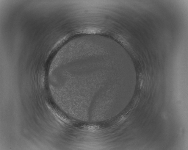 X0000080810304200701021323