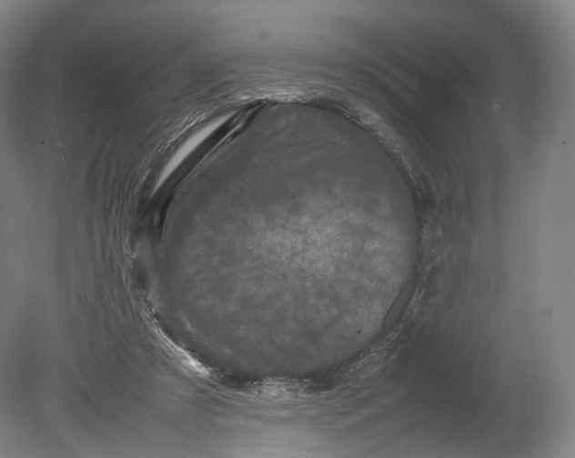 X0000080810305200701021323