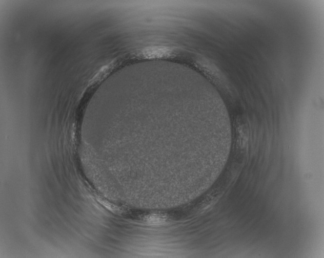 X0000080810308200701021322