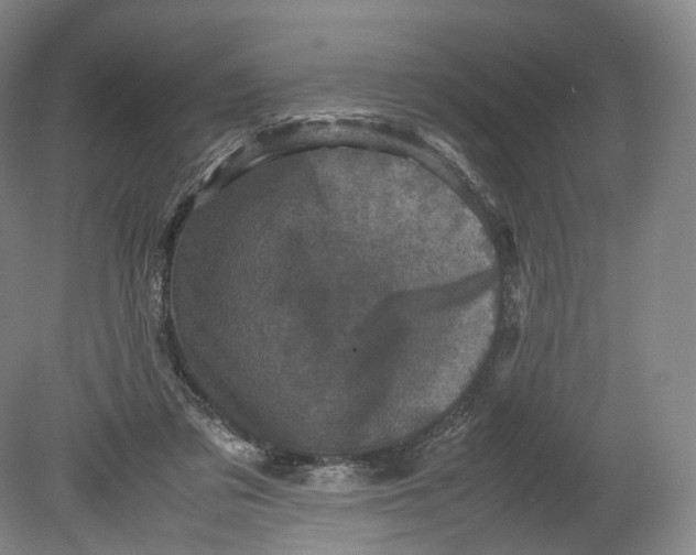 X0000080810309200701021322