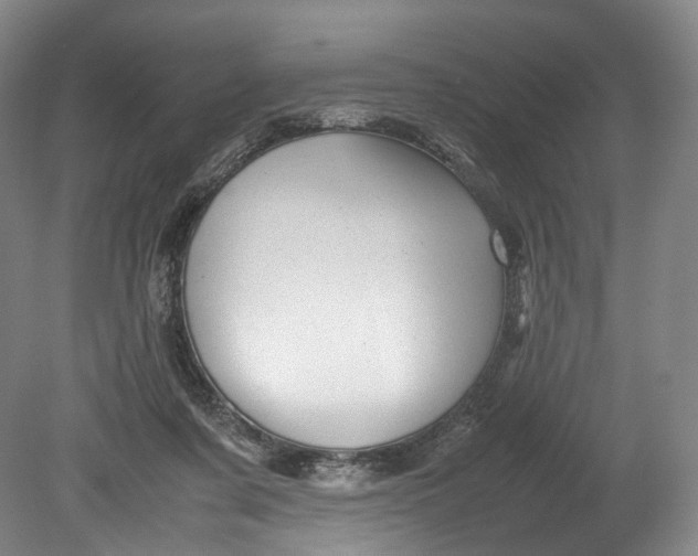 X0000080810311200701021322