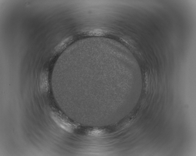 X0000080810312200701021322