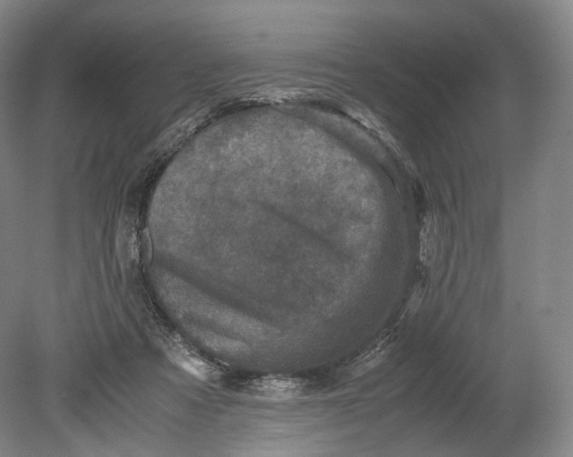 X0000080810313200701021322