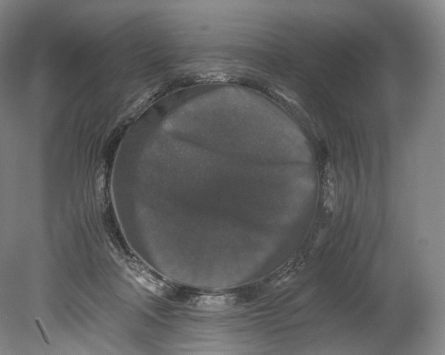 X0000080810314200701021322