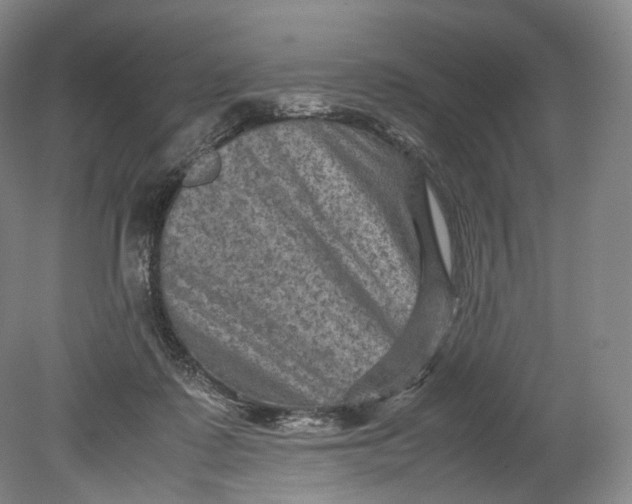 X0000080810315200701021322