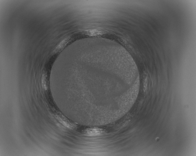 X0000080810316200701021322