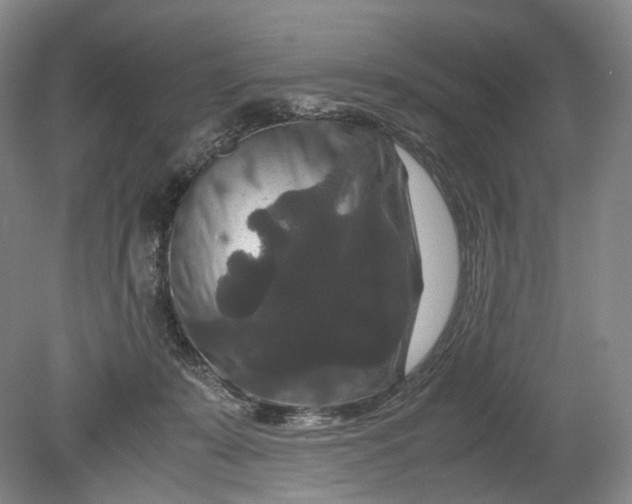 X0000080810319200701021322