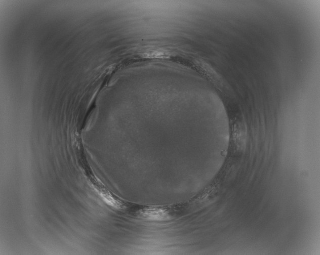 X0000080810322200701021322