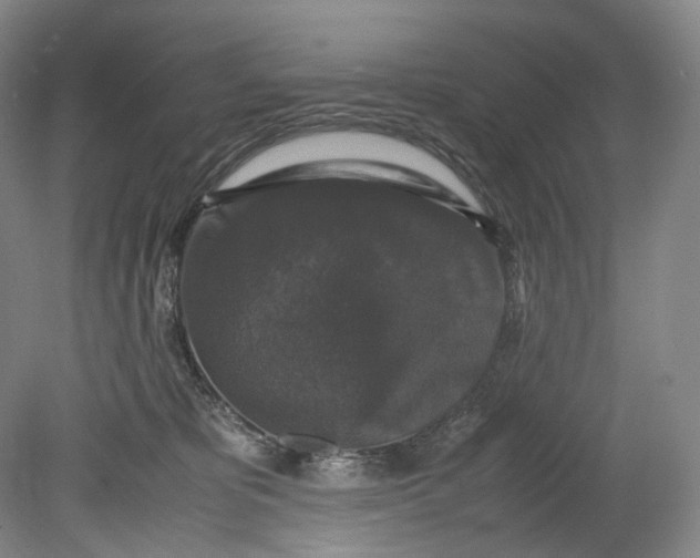 X0000080810325200701021322